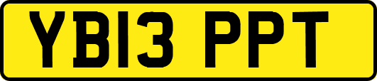 YB13PPT