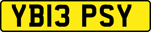 YB13PSY
