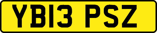 YB13PSZ