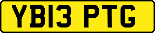 YB13PTG