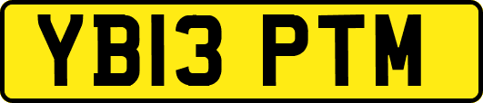 YB13PTM