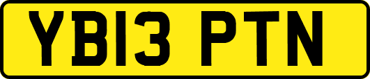 YB13PTN