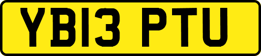 YB13PTU