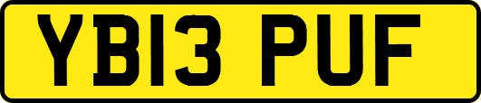 YB13PUF