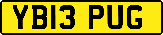 YB13PUG