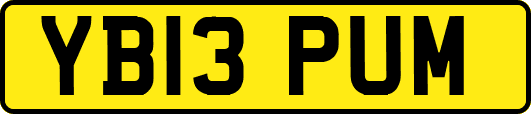 YB13PUM