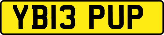 YB13PUP