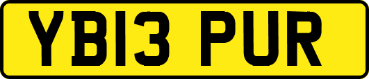 YB13PUR