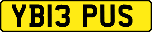 YB13PUS