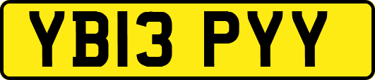 YB13PYY