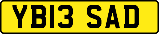 YB13SAD