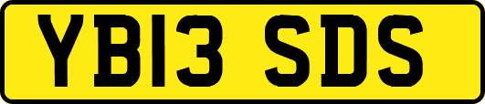 YB13SDS