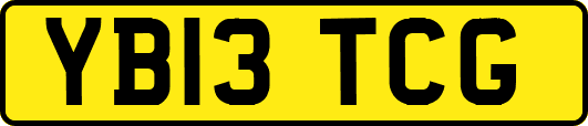 YB13TCG