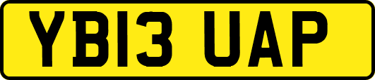 YB13UAP