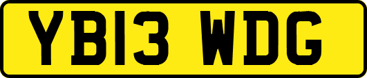 YB13WDG