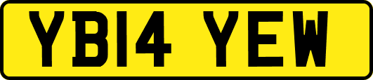 YB14YEW