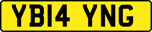 YB14YNG