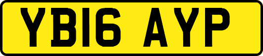 YB16AYP