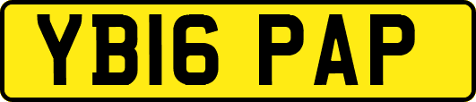 YB16PAP