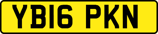 YB16PKN