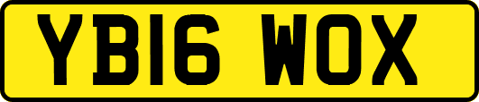 YB16WOX