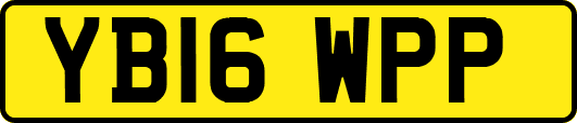 YB16WPP