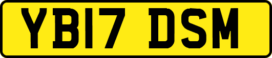 YB17DSM