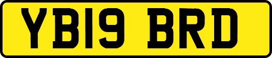 YB19BRD
