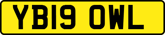 YB19OWL