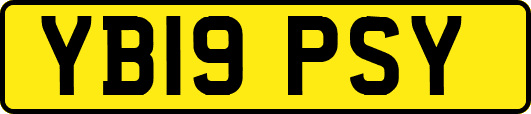 YB19PSY