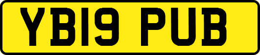 YB19PUB