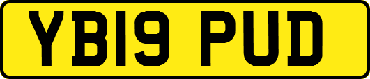 YB19PUD
