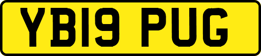 YB19PUG