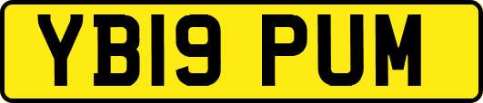 YB19PUM