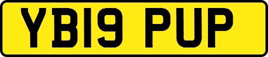 YB19PUP