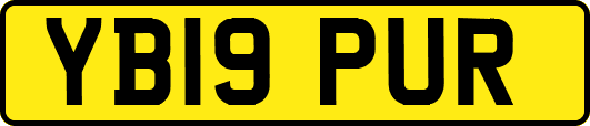 YB19PUR