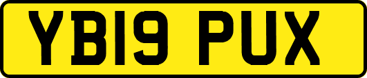 YB19PUX