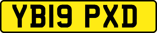 YB19PXD