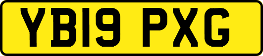 YB19PXG
