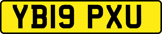 YB19PXU