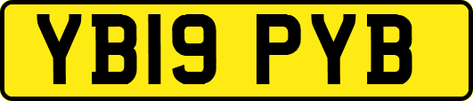 YB19PYB