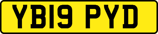 YB19PYD