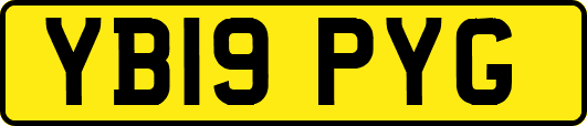 YB19PYG