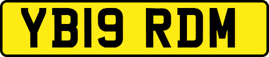 YB19RDM