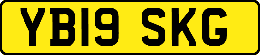 YB19SKG