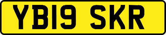 YB19SKR
