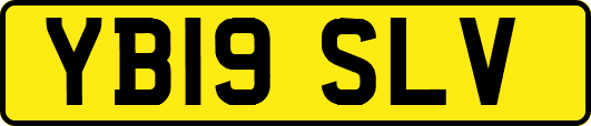 YB19SLV