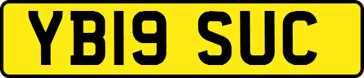 YB19SUC