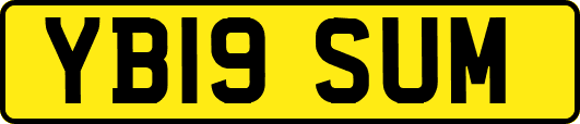 YB19SUM
