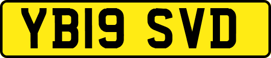 YB19SVD
